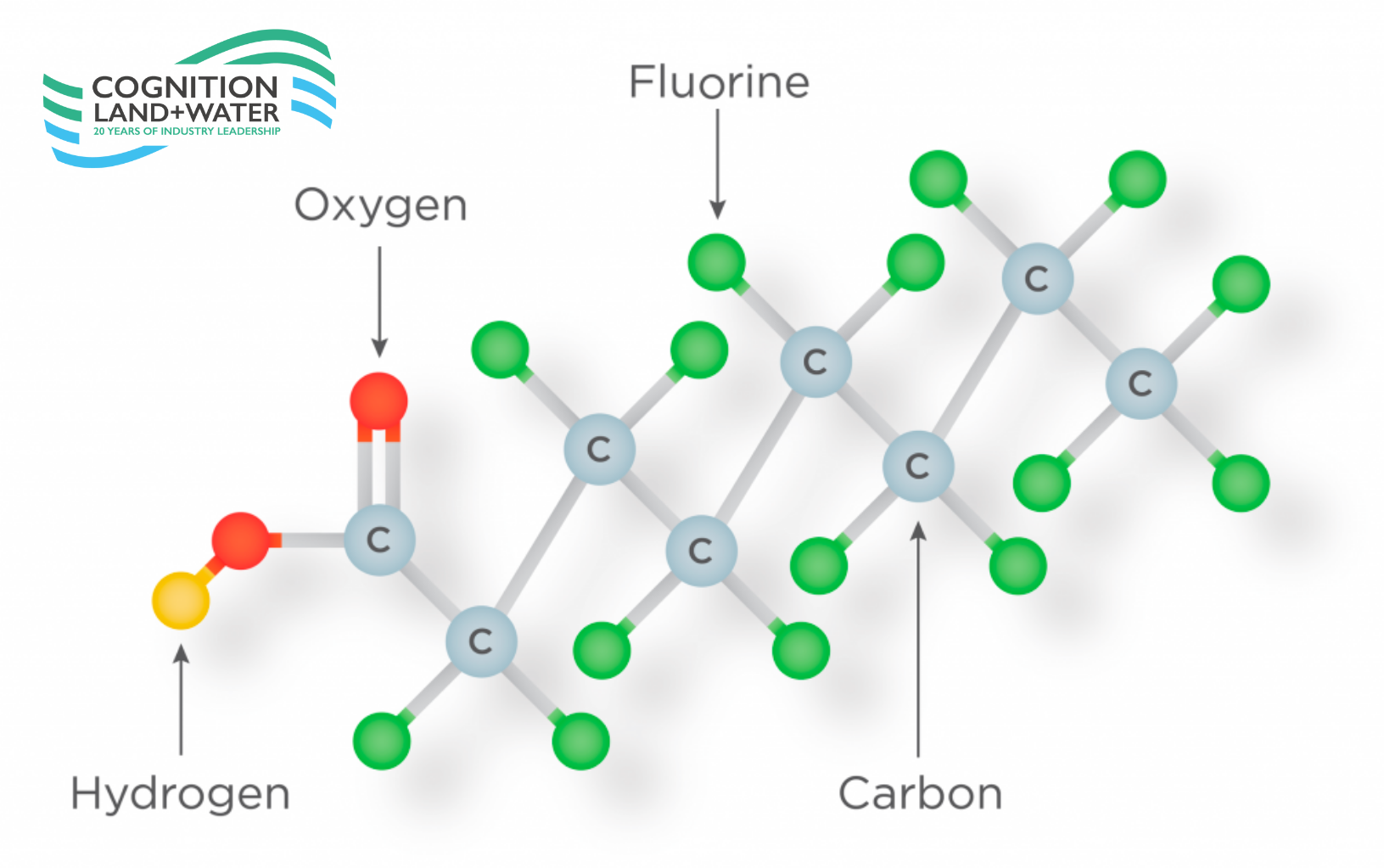 Cognition&rsquo;s Approach to PFAS Treatment